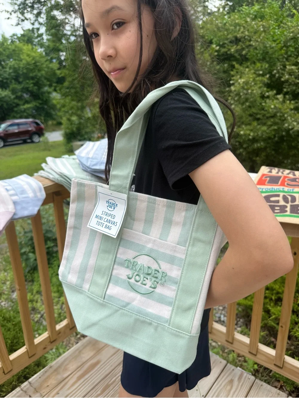 Pastel Stripe Canvas Tote Bag - Blue, Green, Pink Traderjoe tote brand new